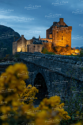 To buy a print or any of the below please click on the images